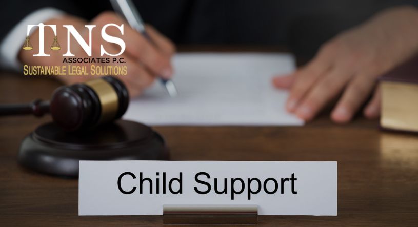 child support legal court